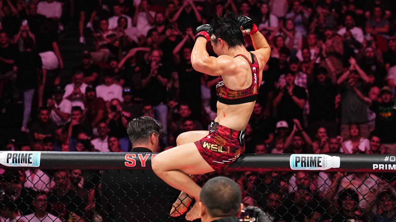 这种选择不 这种选择不